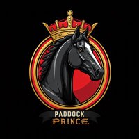 Horse Capper (@paddock_prince) 's Twitter Profile