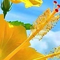 Nand (@nandashly) 's Twitter Profile