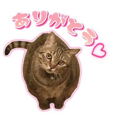 mssry_design's profile picture. 現在バナー等のデザインのお仕事をしています。Webデザイン中心。Find me!(24.07〜)