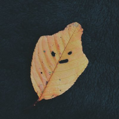 ニコル｜アモさんのプロフィール画像