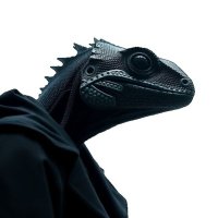 DEng Lizard (@denglizard) 's Twitter Profile