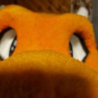 Blazin the 'bold 🇨🇭 (@blazindevilify) 's Twitter Profile