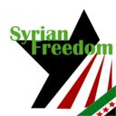 Until the regime falls: supporting a free, democratic, pluralist Syria with equality under law for all.