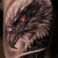 Ale (@alexjunior67405) 's Twitter Profile