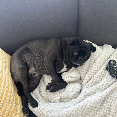 nota_boome42796's profile picture. 