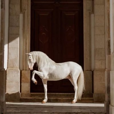 Kho_ek's profile picture. وفراقهما أسكَن فيني بكاءً فَ أهلكني 🥀🖤 - أم لثلاث أمراء ✨