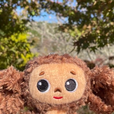 やむださんのプロフィール画像