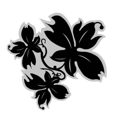 scoffield42's profile picture. ☘️☘️