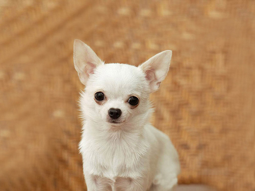 tetuo_302's profile picture. ネット起業家やってます(・。・;
ビジネスコンサルタントやってます
皆もやってみましょう(´・ω・｀)v
楽しです( ´∀｀)