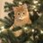 llleeeelive's profile image