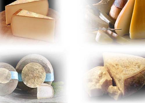 formatgesborros's profile picture. Contactad con nosotros por email y os enviamos la información de nuestros productos. Traemos quesos a domicilio lo más rápidamente posible.