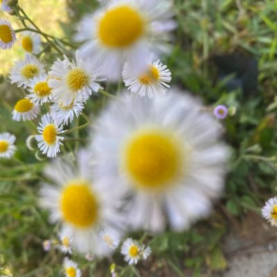 Celeste8754723's profile picture. 21/ who can handle me….. need a nigga to control me. NO LIMITS virgin: chubby