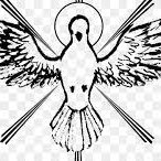 desiciones1982's profile picture. vidaysalud