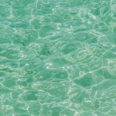 arayotto_7's profile picture. ブライトスプリング/クリアウィンター 極乾燥肌