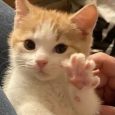 inaeyyyy's profile picture. 