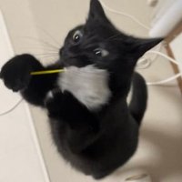 うおおお (@uooo_uni_oishi) 's Twitter Profile Photo