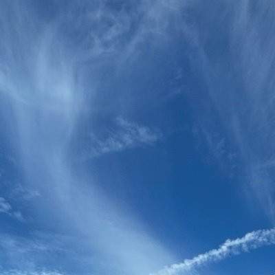 14Kevo's profile picture. 