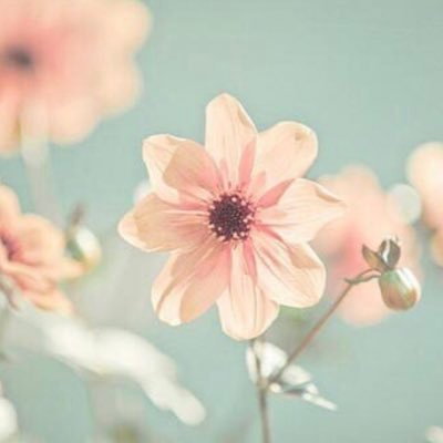 Faal46_'s profile picture. يا ربّ