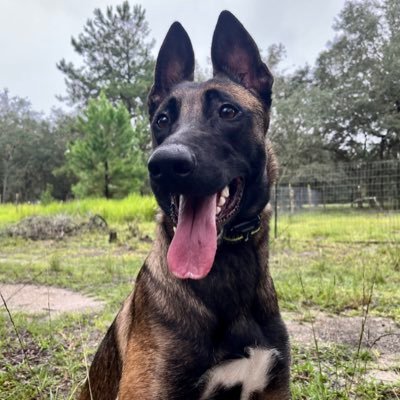 PerfectWeather0's profile picture. 🇺🇸 Proud Trump supporter 🇺🇸