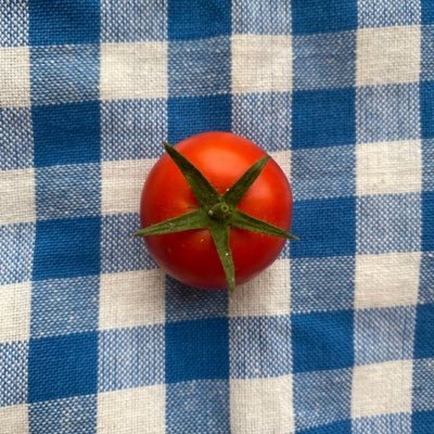 txanztxanz's profile picture. Don't care about everyone in the world.