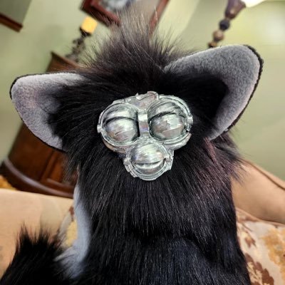 stonedbandito's profile picture. we’re just out here learning and eating L’s