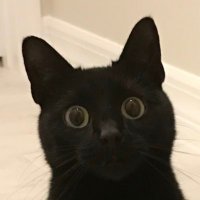 Jay (@jms_76) 's Twitter Profile