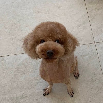 AqGBHqGDbc80473's profile picture. 