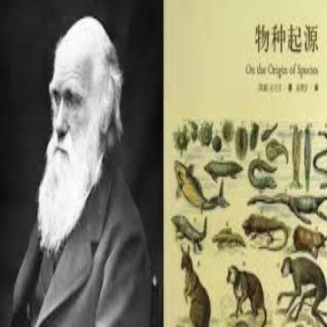 CoronaRach61688's profile picture. 互关互助100%