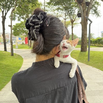 wy19970707's profile picture. pain au chocolat