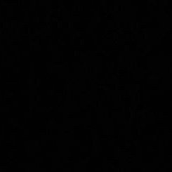 snikfl's profile picture. 
