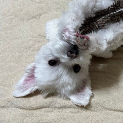 yuji124さんのプロフィール画像