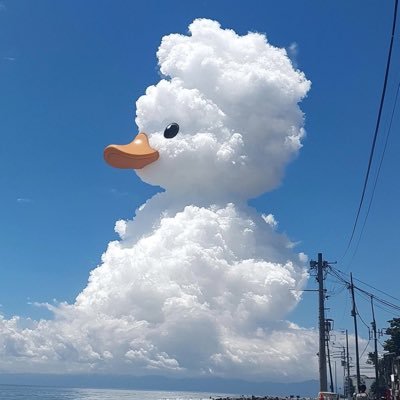 Dan01291's profile picture. 