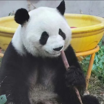 Freshminusone's profile picture. 