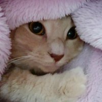 ts (@ts4g9jx) 's Twitter Profile Photo ts (@ts4g9jx) 's Twitter Profile Photo