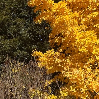 GwVNtgIz0K7igvP's profile picture. 