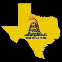 Texas🔥Heat (@lone_star_heat) 's Twitter Profile