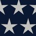 Victim of Government Workers (@criminalgovwork) Twitter profile photo Victim of Government Workers (@criminalgovwork) Twitter profile photo