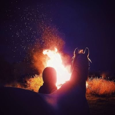 msltn89's profile picture. Ben bu hayatı başkalarına mantıksız gelecek şekilde yaşama özgürlüğüne sahibim. Eğer bu delilikse delilik ne güzel şey.🫛