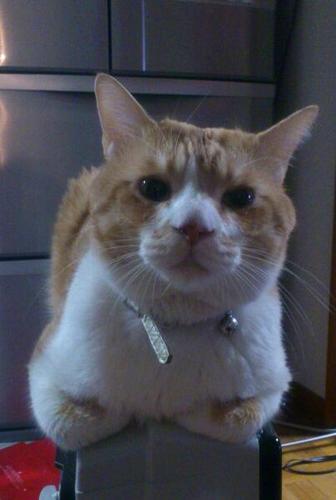 tp513yuta's profile picture. 