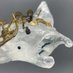Minn’Art (@minnart_glass) Twitter profile photo Minn’Art (@minnart_glass) Twitter profile photo