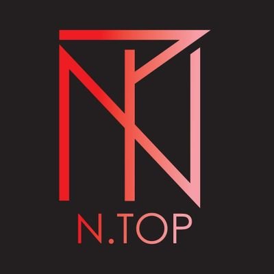 엔탑(N.TOP) Profile
