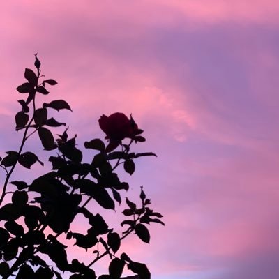 C’est une chose étrange que le monde Un jour je m’en irai sans en avoir tout dit