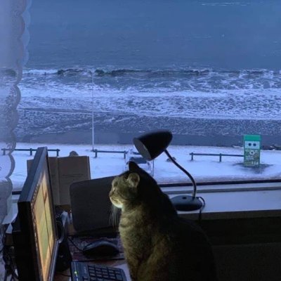 Live a life you will remember Holder of Neotokyo. My tweets is just opinion