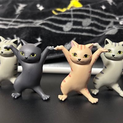 星川さんのプロフィール画像
