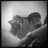 DjamesBraun's profile image