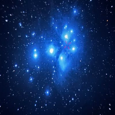 lyon8467's profile picture. iPhone 11