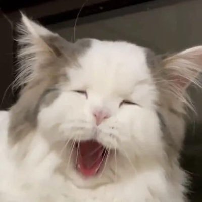 nad8282's profile picture. mostly tweeted about koriya