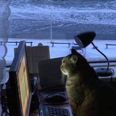 Jubei92's profile picture. 