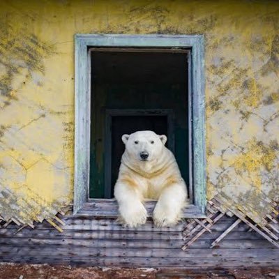 ネギトロ（熟成）さんのプロフィール画像