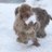 duffers_86's profile image